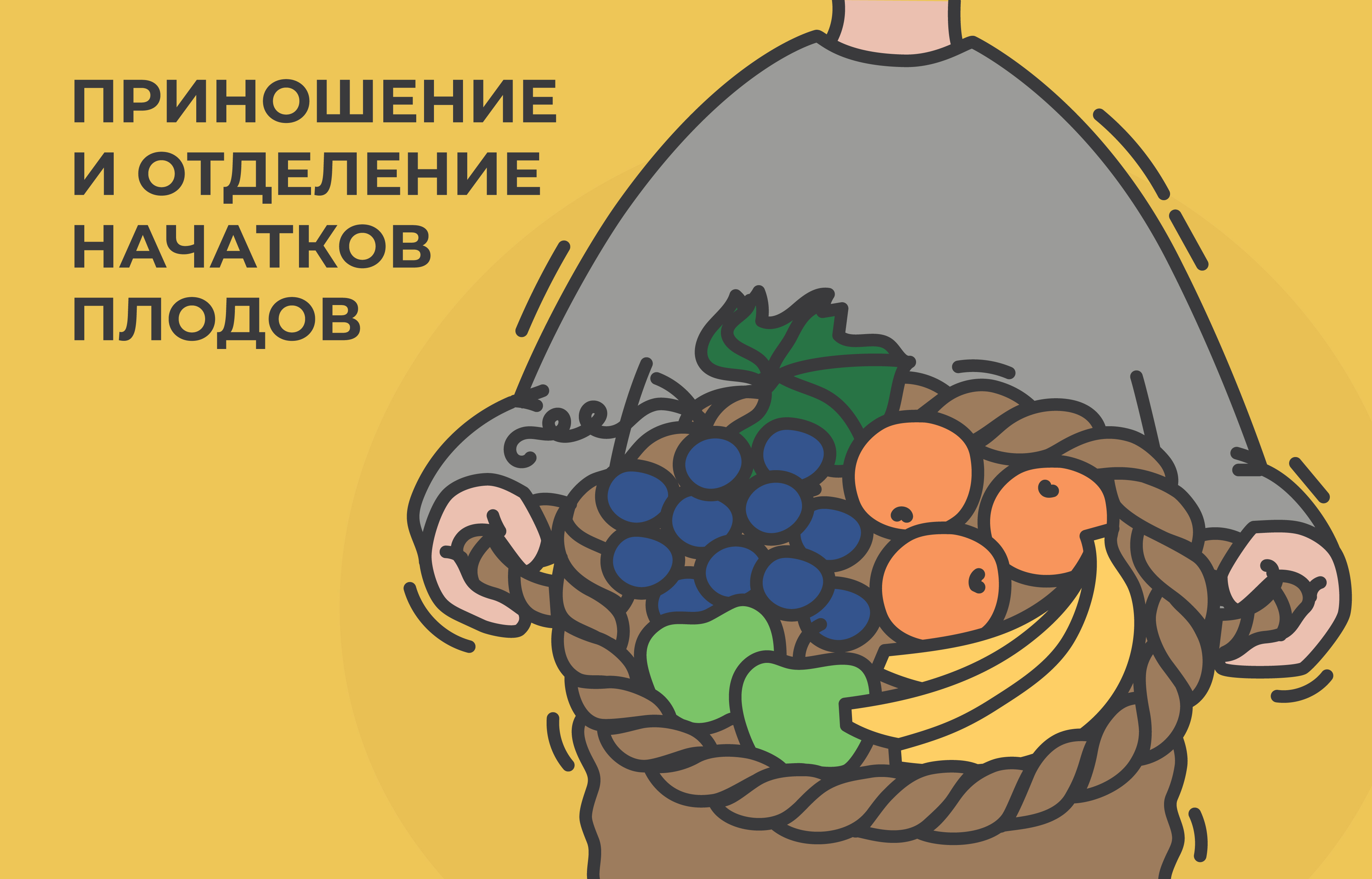 Иллюстрация к главе VI: ПРИНОШЕНИЯ И ОТДЕЛЕНИЕ НАЧАТКОВ ПЛОДОВ